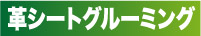 革シートグルーミング