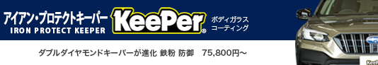 ダブルダイヤモンドキーパーが進化 鉄粉から防御
